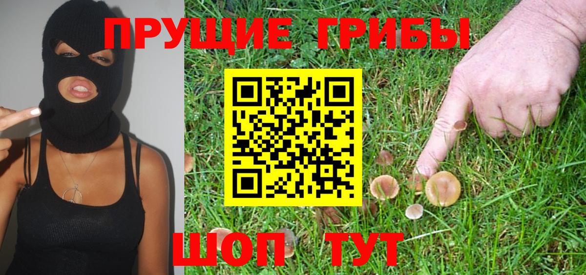 Галлюциногенные грибы MAGIC MUSHROOMS  Псилоцибиновые грибы Magic Shrooms  Вход с VPN  Архангельск 