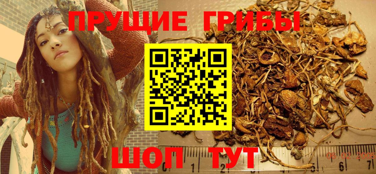 Галлюциногенные грибы MAGIC MUSHROOMS Архангельск