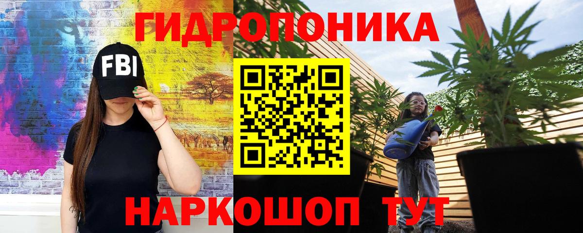 Бошки марихуана OG Kush  Конопля ГИДРОПОН  Архангельск  Бошки Шишки индика  Вход с VPN 